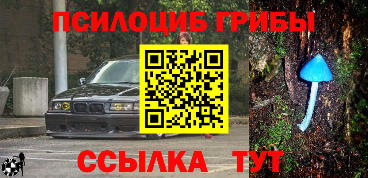 Галлюциногенные грибы Cubensis  Псилоцибиновые грибы прущие грибы  Вход с VPN  Ишимбай 